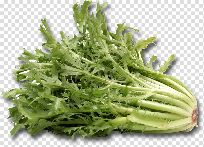 Broccoli Cichorium endivia Romaine lettuce Vegetarian cuisine Curled endive, broccoli transparent background PNG clipart