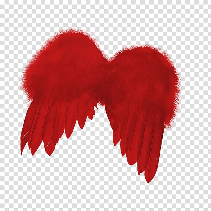 Feather, Red Wings transparent background PNG clipart