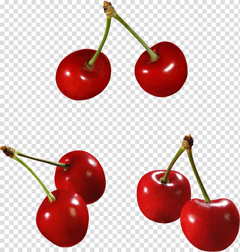 Cherry Cerasus Berry, cherry transparent background PNG clipart