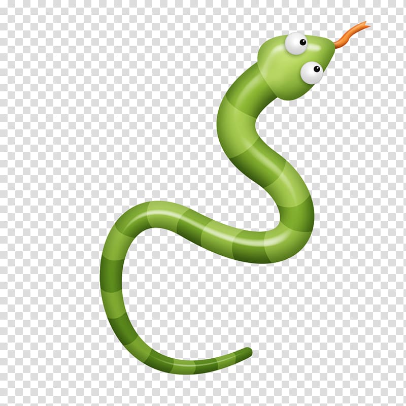 Snake transparent background PNG clipart | HiClipart