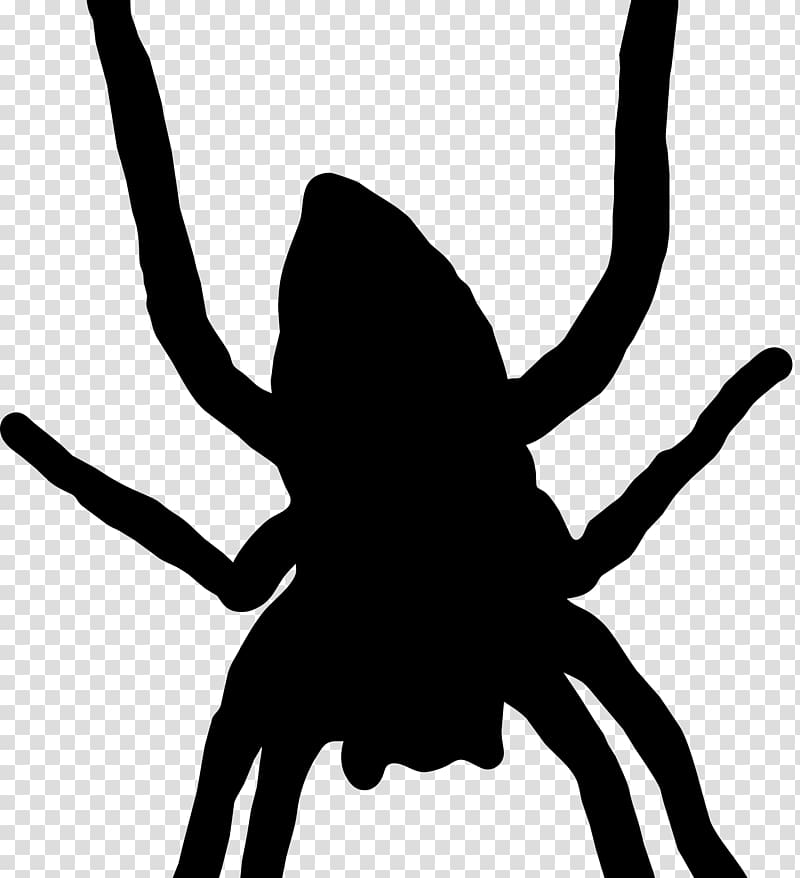 Spider web Silhouette Arthropod , spider transparent background PNG clipart