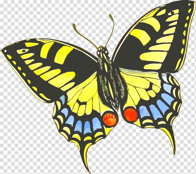 Butterfly gardening Insect , butterfly transparent background PNG clipart