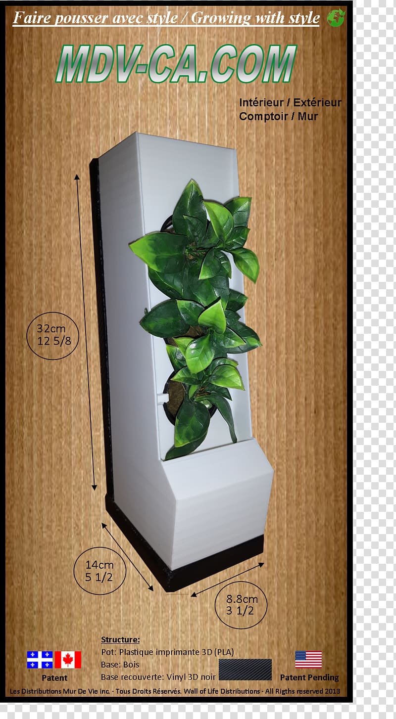 Flowerpot Houseplant Leaf Herb Text messaging, wall plants transparent background PNG clipart