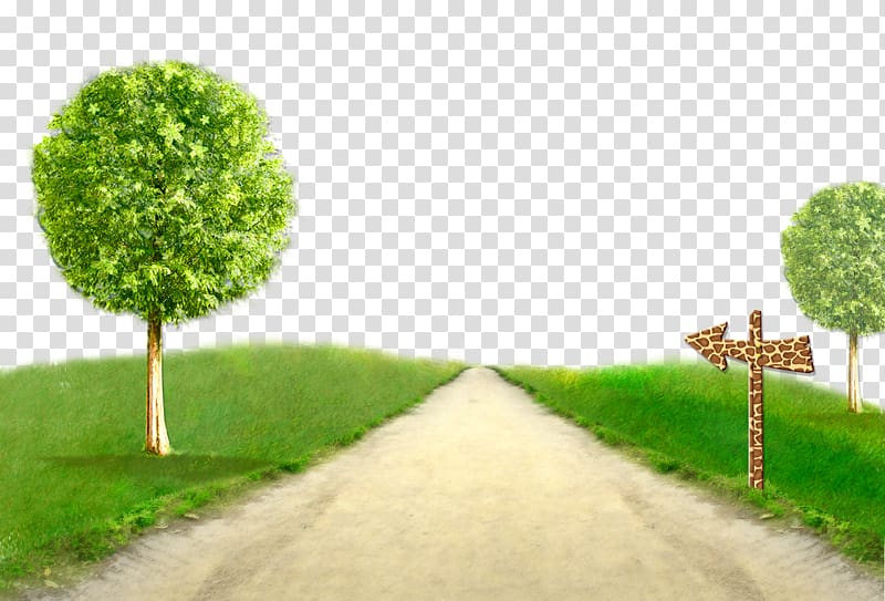road between grass field illustration, , Country road transparent background PNG clipart