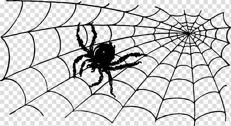 Spider web Insect Animal, spider web transparent background PNG clipart