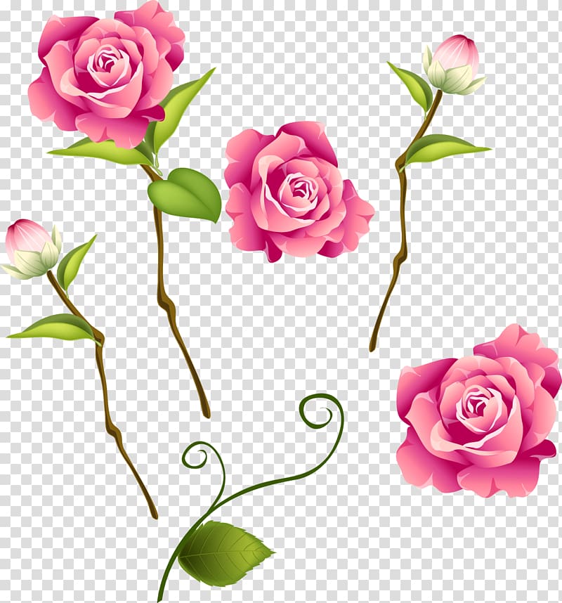 Flower bouquet Rose Floral design , flor transparent background PNG clipart