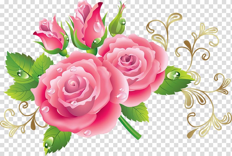 Rose Flower Illustration, Attractive peony transparent background PNG clipart