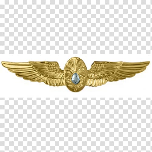 National Naval Aviation Museum Flight Surgeon Badge United States Navy, Naval Aviation transparent background PNG clipart