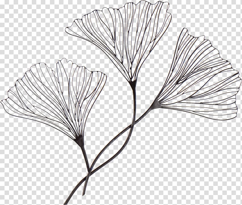 black flower decal against blue background, Drawing Wire Ginkgo biloba Art, continental decoration transparent background PNG clipart