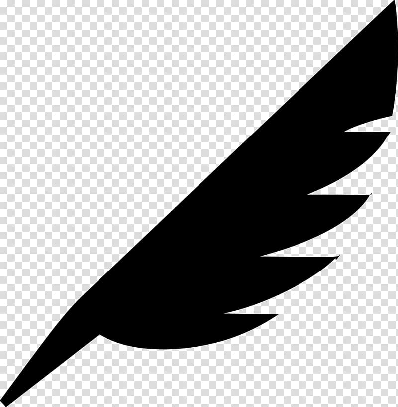 Feather Computer Icons Quill Bird , feather transparent background PNG clipart