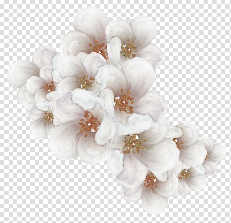 white petaled flowers , Cherry blossom Flower , Tokyo Sakura transparent background PNG clipart