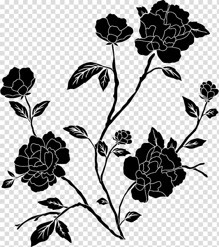 Flower Black and white , black and white transparent background PNG clipart