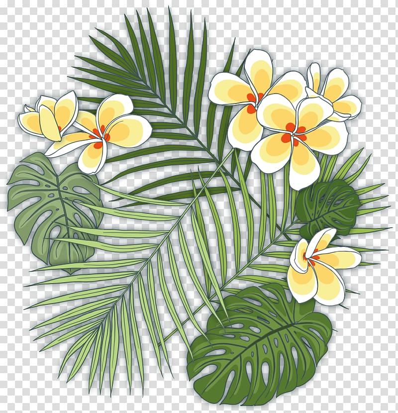 white and yellow flower plant illustration, Caryota urens Howea forsteriana Plant Tropics, Tropical plants transparent background PNG clipart