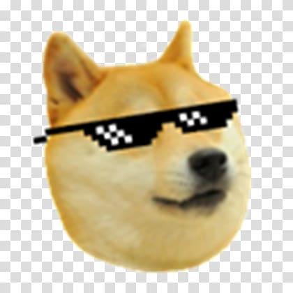 Doge Dog Transparent Background Png Clipart Hiclipart - doge transparrent roblox