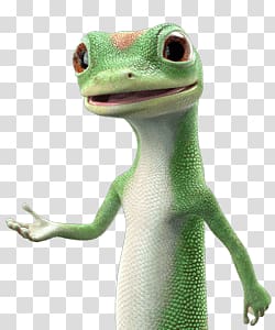 green lizard illustration, Geico Character Explaining transparent background PNG clipart
