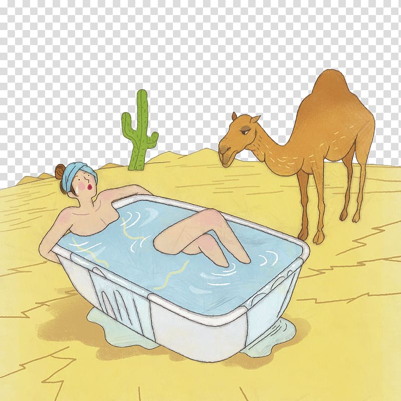 Dromedary Illustration, Camels look at people to take a bath transparent background PNG clipart