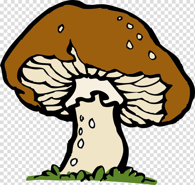 Mushroom Morchella , mushroom transparent background PNG clipart