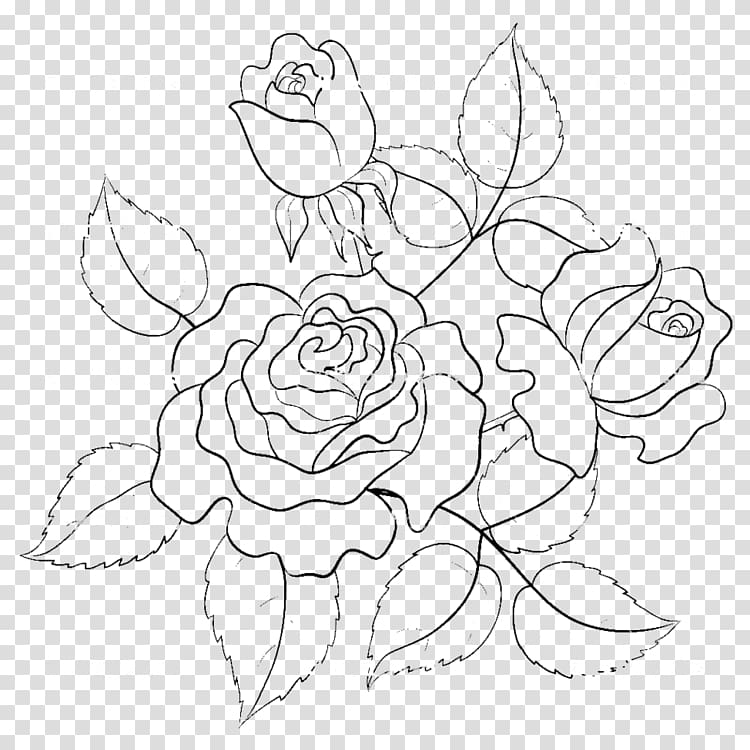 flower illustration, Rose Flower Drawing Illustration, Hand-painted roses line drawing transparent background PNG clipart