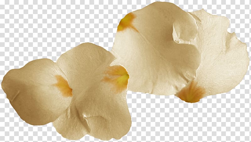 Petal Portable Network Graphics Flower Digital , gold petal transparent background PNG clipart