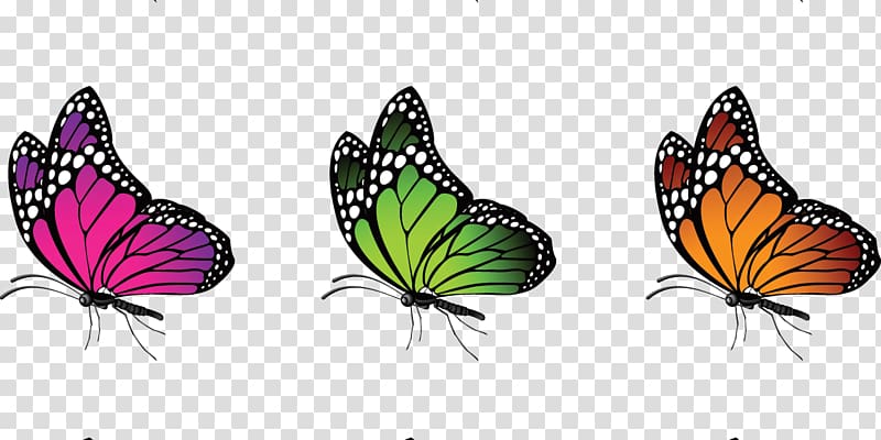 Insect Color Butterfly, high-definition irregular shape light effect transparent background PNG clipart