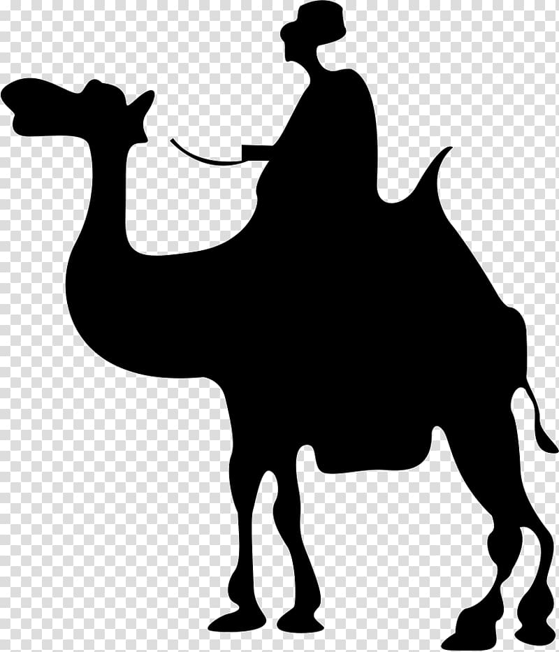 Camel Silhouette, camel transparent background PNG clipart