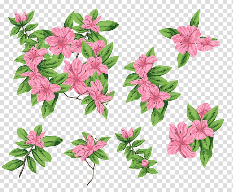 Cut flowers , waterflower transparent background PNG clipart