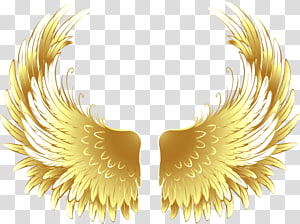 Gold Angel Wings No BG - Openclipart
