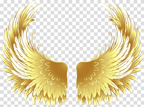 gold-colored wings illustration, Buffalo wing Fried chicken, Games golden wings transparent background PNG clipart