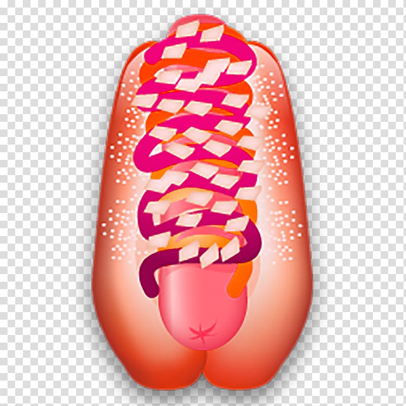 Hot dog Sausage Icon, Burger Sandwiches transparent background PNG clipart