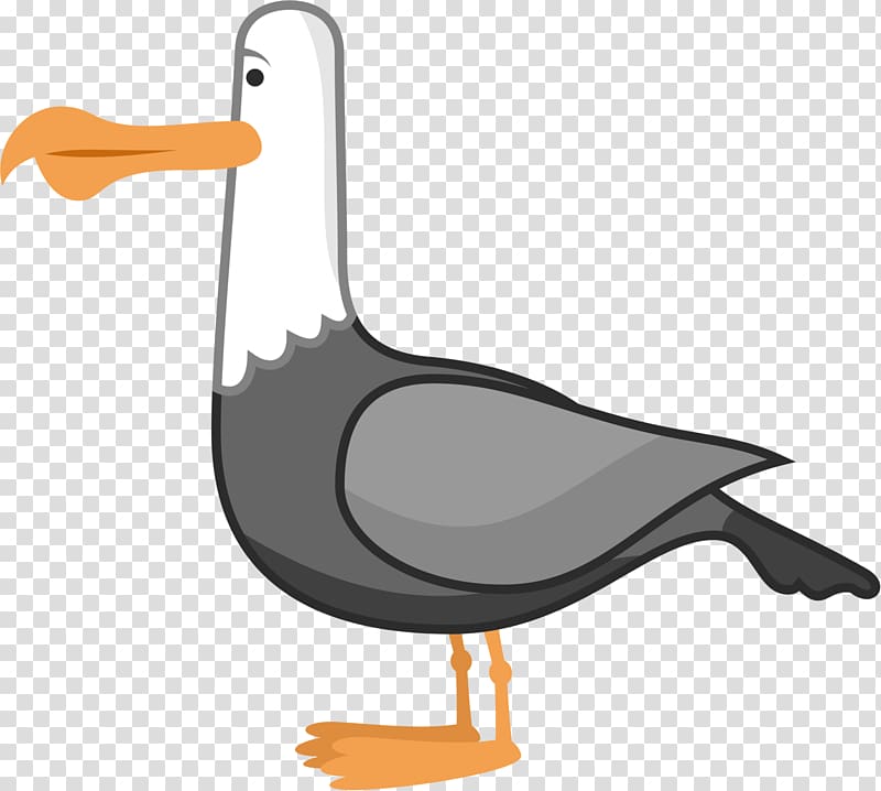 Nemo Gulls Drawing , gull transparent background PNG clipart