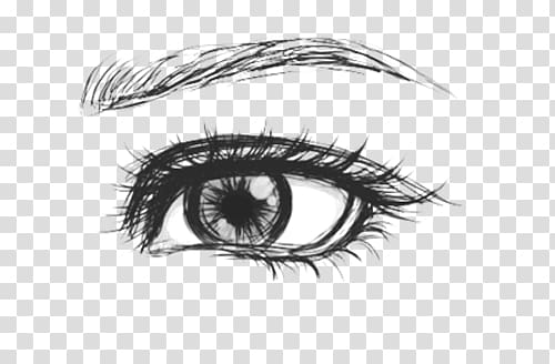 Drawing Eye Art Sketch, Eye transparent background PNG clipart