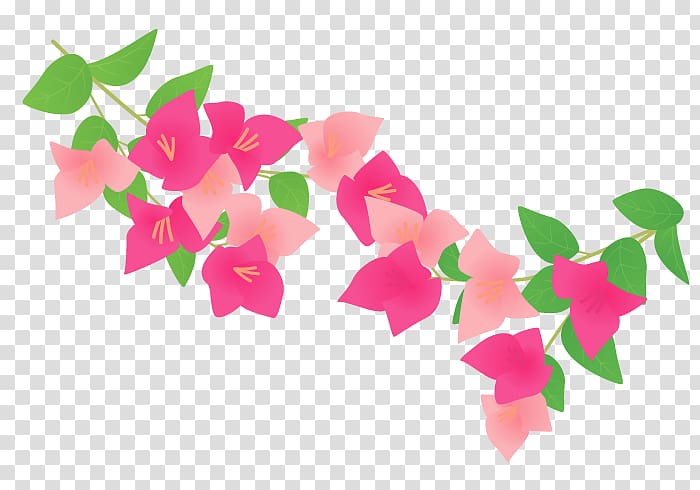 Bougainvillea Plants Petal, Pattern summer transparent background PNG clipart