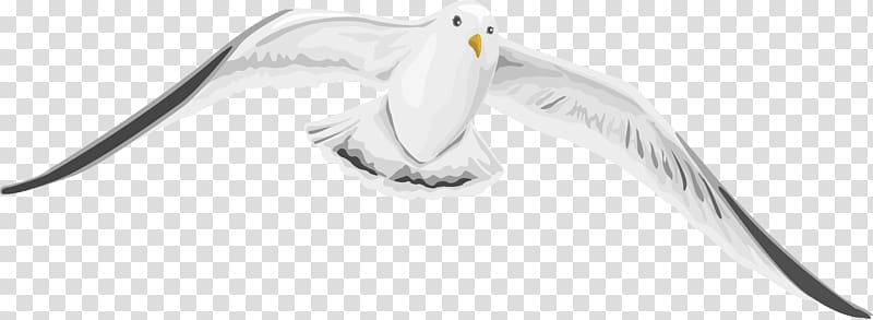 Beak White Technology, The elegant wild goose transparent background PNG clipart