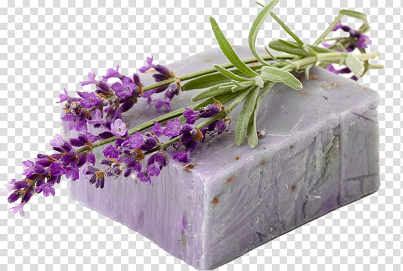 lavender flower on purple soap, Lavender Soap, Lavender soap transparent background PNG clipart