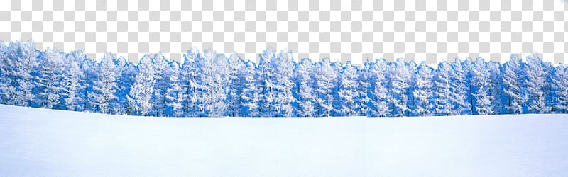 Winter Landscape Snow, Winter landscape transparent background PNG clipart