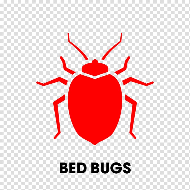 Cockroach Bed bug control techniques Pest Control Bed bug bite, cockroach transparent background PNG clipart