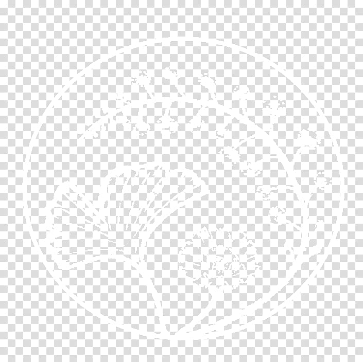 United States of America Ultimate Fighting Championship White Sea Bitcoin, chinese massage transparent background PNG clipart