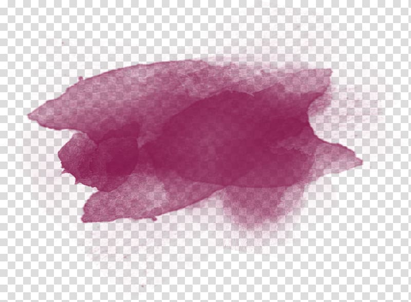 Petal Pink M Close-up, wine splash transparent background PNG clipart