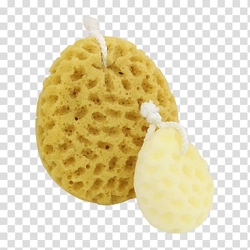 Body Benefits, By Body , Face and Body Faux Sea Sponges Body Benefits, 2-in-1 Bath Sponge, 1 Sponge Human body, Face transparent background PNG clipart