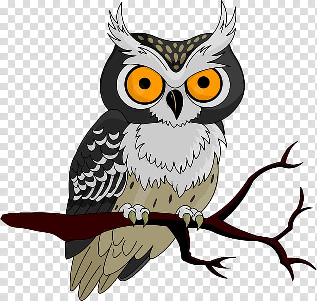 black and brown owl illustration, Owls to Athens Halloween Jack-o\'-lantern , Owl transparent background PNG clipart