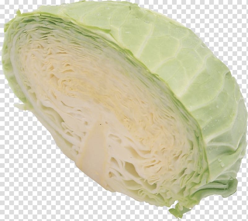 Savoy cabbage Vegetable Cauliflower Red cabbage, cabbage transparent background PNG clipart