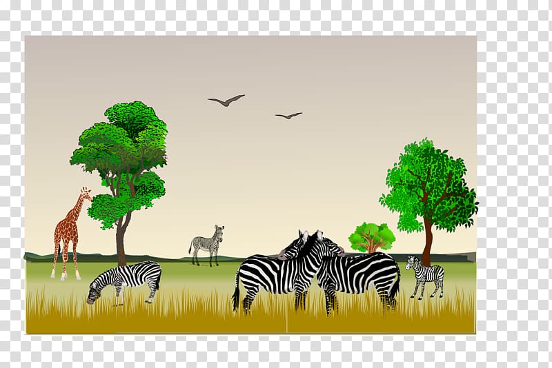Game reserve Northern giraffe , Africa transparent background PNG clipart