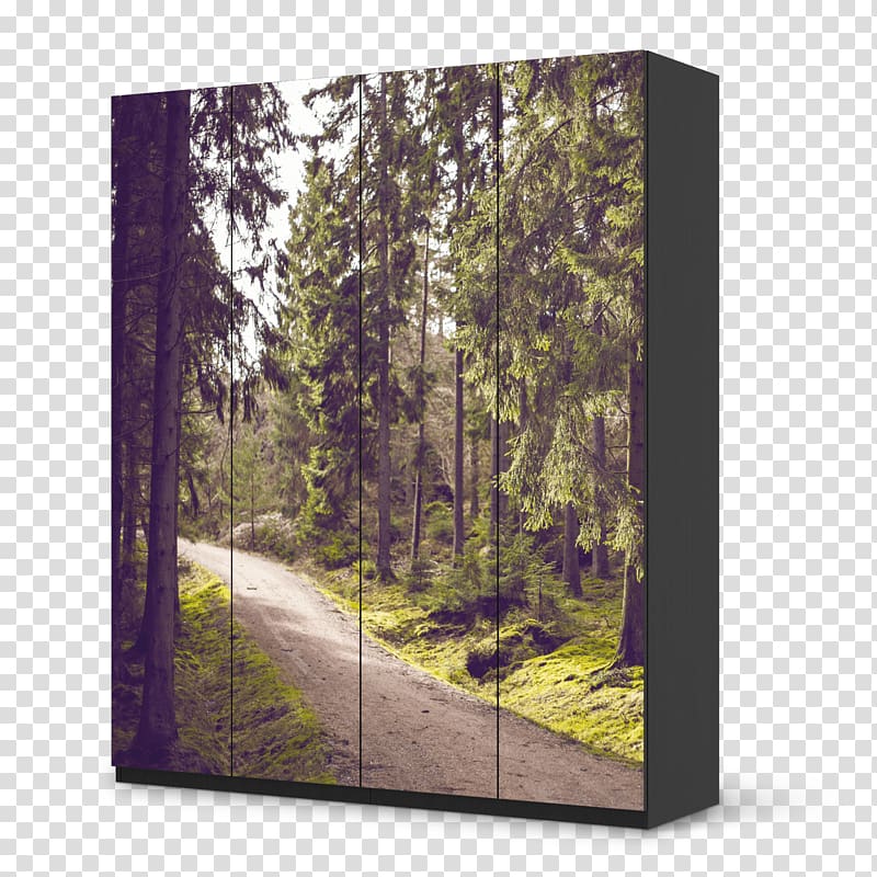 Two roads diverged in a wood, and I,, I took the one less traveled by, and that has made all the difference. Organization Goal Person Project, forest walk transparent background PNG clipart