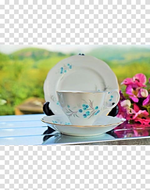 Coffee cup Saucer Porcelain Plate, Royal Albert transparent background PNG clipart