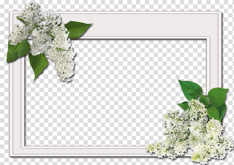 Frames South Korea Actor, frame flower transparent background PNG clipart