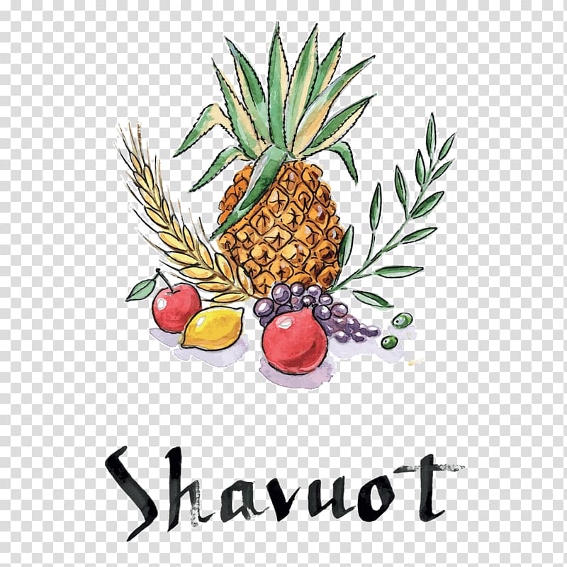 Shavuot Sukkot Jewish holiday, pineapple transparent background PNG clipart