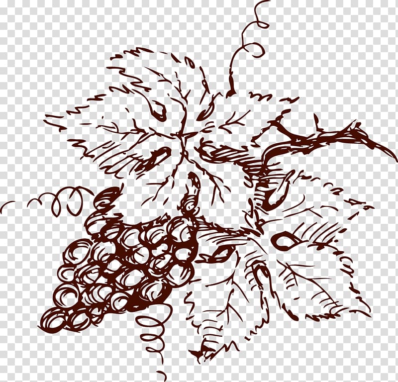 Wine Drawing Chardonnay Grenache Grape, rose red grape logo transparent background PNG clipart