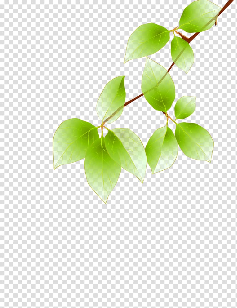 Maple leaf Green Euclidean , Falling leaves transparent background PNG clipart