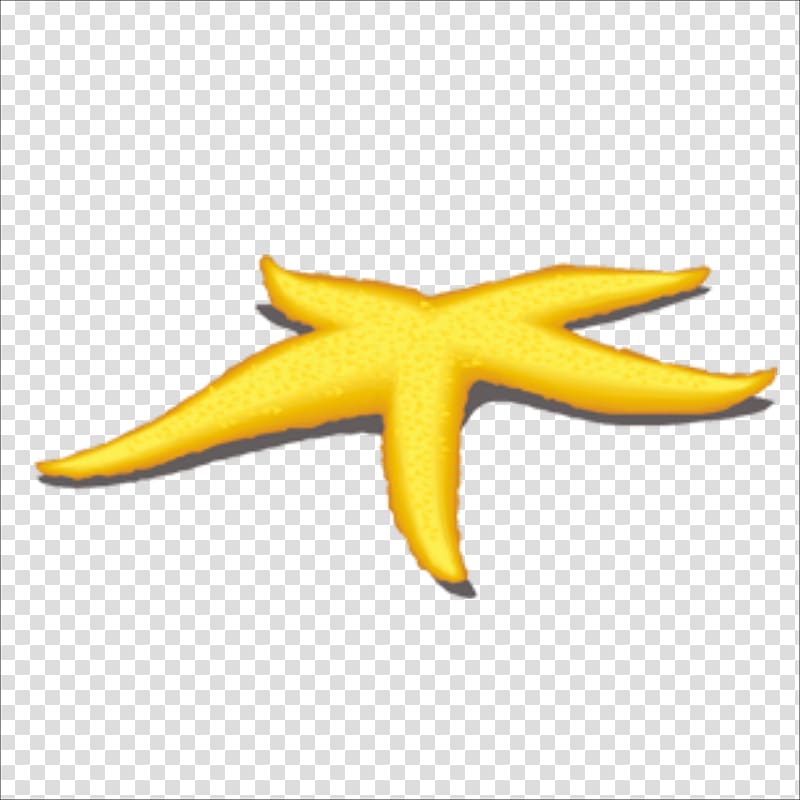 Starfish Benthic zone Yellow, starfish transparent background PNG clipart