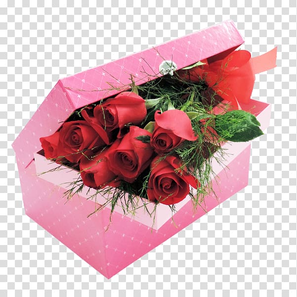 Garden roses Floral design Cut flowers Flower bouquet, rose transparent background PNG clipart
